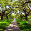 Charleston, South Carolina