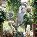 Topiary