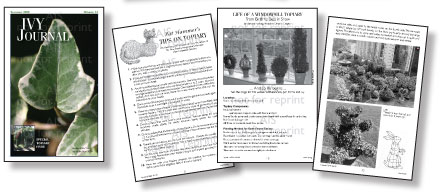 IVY JOURNAL, 2008