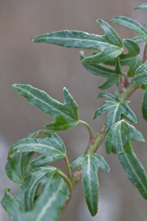 test file