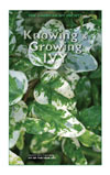 Knowing & Growing Ivy