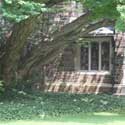 Princeton University