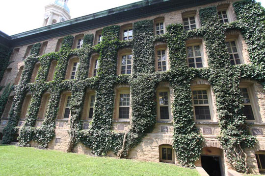 Princeton University