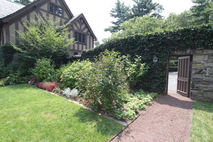 Princeton University
