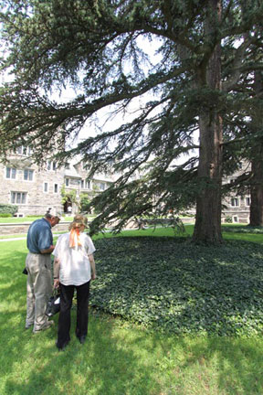Princeton University