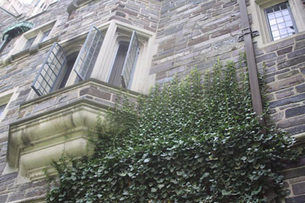 Princeton University