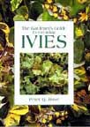 The Gardener&rsquo;s Guide to Growing Ivies