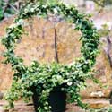 Topiary