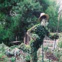 Topiary
